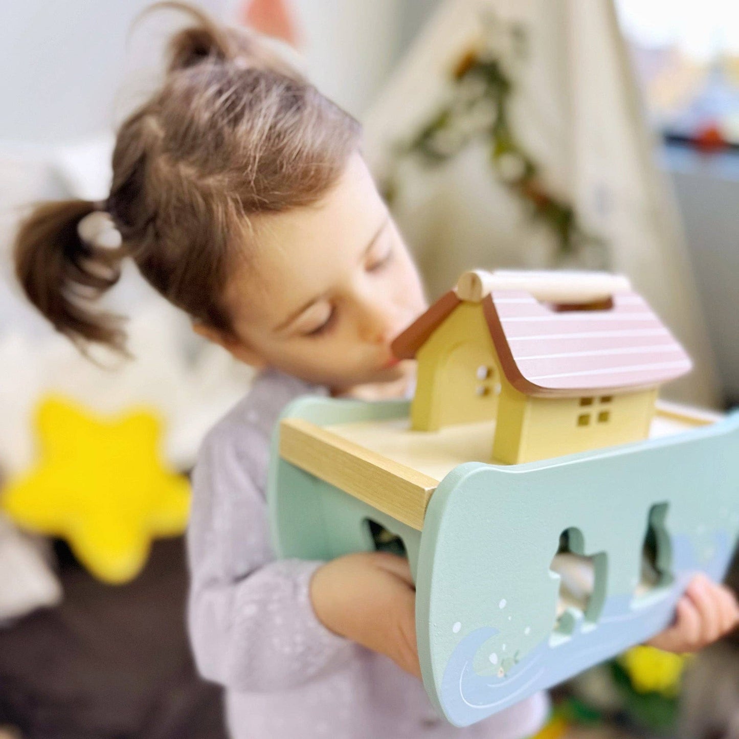 Noah's Ark Shape Sorter