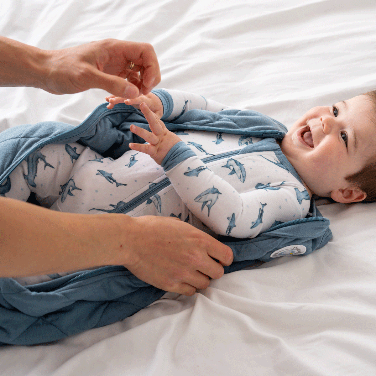 Bamboo Pajamas - Shark