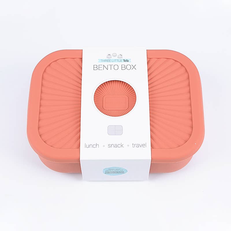 Silicone Bento Lunch/Snack Box