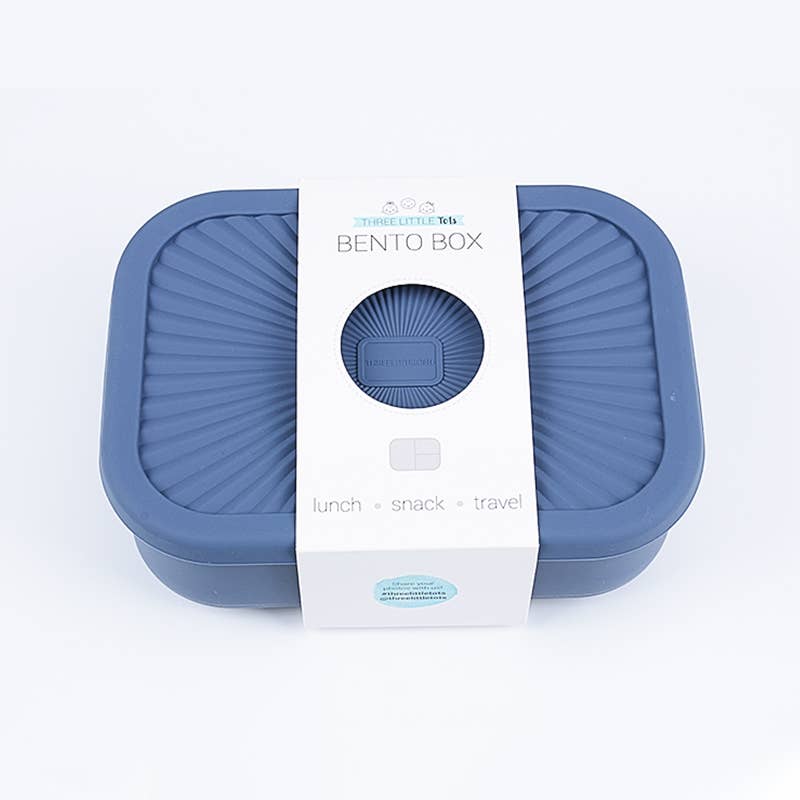 Silicone Bento Lunch/Snack Box